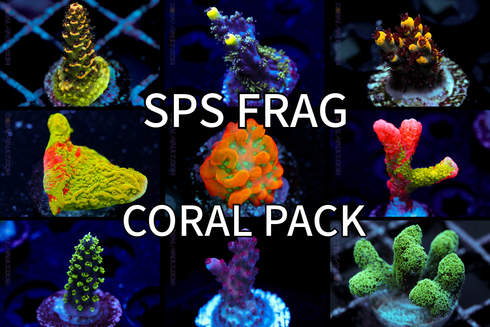 SPS Frag Pack