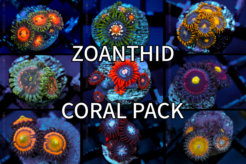 Zoanthid Frag Pack