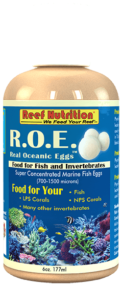 RN Real Ocean Eggs 6oz